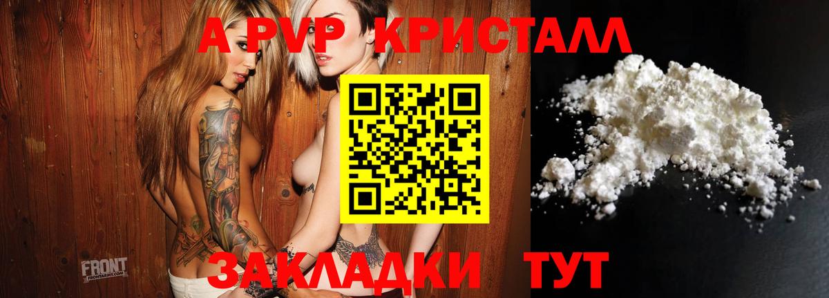 A PVP СК КРИС Аргун